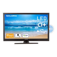 Preview: Salora 24LED8105CD