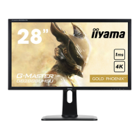 Preview: Iiyama G-Master GB2888UHSU