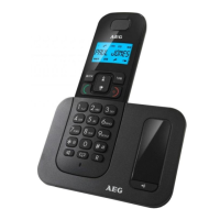 Preview: AEG VOXTEL D500