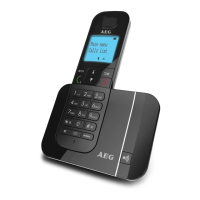 Preview: AEG voxtel D550BT