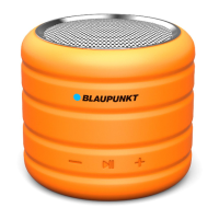 Preview: Blaupunkt BT01OR