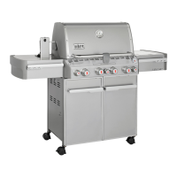 Preview: Weber Summit S-470