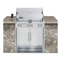 Preview: Weber Summit S-460-NG