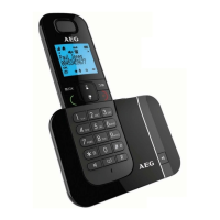 Preview: AEG Voxtel D550