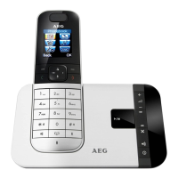 Preview: AEG Voxtel D575