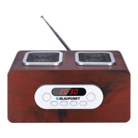 Preview: Blaupunkt PP5BR