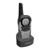 Preview: Swissvoice TwinTop 400