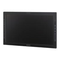 Preview: Sony LMD-3251MT