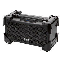 Preview: AEG BSS 4800