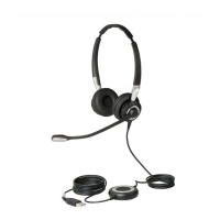 Preview: Jabra BIZ 2400