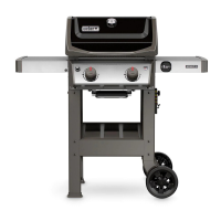 Preview: Weber Spirit E-310