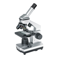 Preview: Bresser MicroSet 40x-1024x