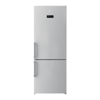 Preview: Beko RCNE520E31ZM