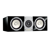 Preview: Yamaha NS-C901