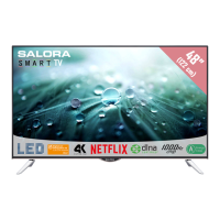 Preview: Salora 48UHL9102CS