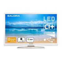 Preview: Salora 32LED8110CW