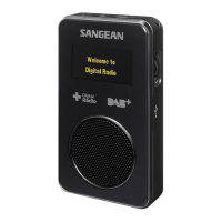 Preview: Sangean DPR-36