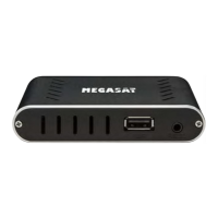 Preview: Megasat HD Stick 310