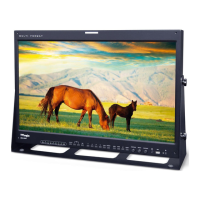 Preview: TVLogic LEM-250A