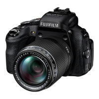 Preview: FujiFilm Finepix HS50EXR