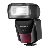 Preview: FujiFilm EF-42