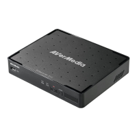 Preview: Avermedia EzRecorder 310