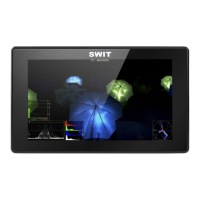 Preview: SWIT S-1053F