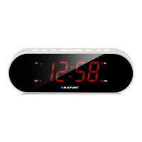 Preview: Blaupunkt CR6