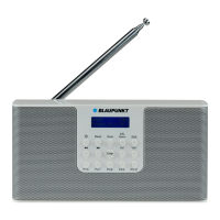 Preview: Blaupunkt RX+ 12