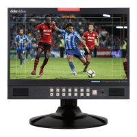 Preview: Datavideo TLM-170L