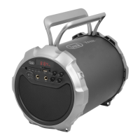 Preview: Trevi XF 300