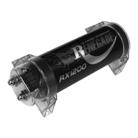 Preview: Renegade RX1200