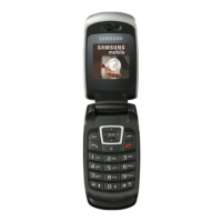 Preview: Samsung SGH-C260