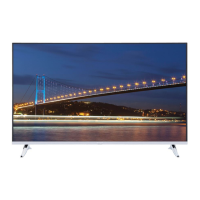 Preview: VESTEL 55FA9000