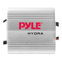 Preview: Pyle PLMRMP1A