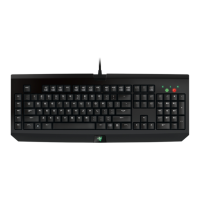 Preview: Razer BlackWidow