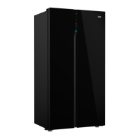 Preview: Beko GN163140ZGBN