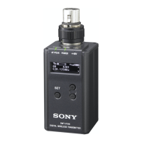 Preview: Sony DWT-P01N