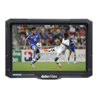 Preview: Datavideo TLM-700K