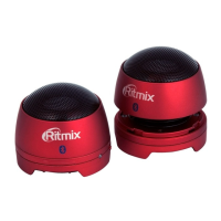 Preview: Ritmix SP-2013BT