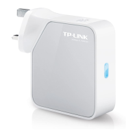 Preview: TP-Link TL-WR810 N