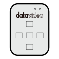 Preview: Datavideo WR-500