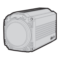 Preview: Datavideo BC-50