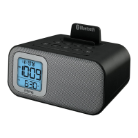Preview: iHome iBT22