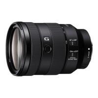 Preview: Sony SEL24105G