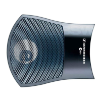 Preview: Sennheiser E 901