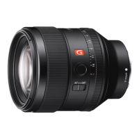 Preview: Sony SEL85F14GM