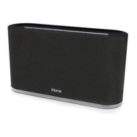 Preview: iHome iW2