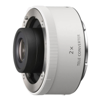 Preview: Sony SEL20TC