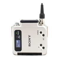 Preview: Sony DWT-B03R
